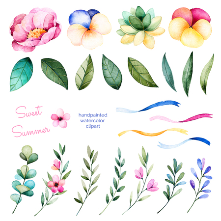 mariage dessin collection Foral avec des fleurs, pivoine, feuilles, branches, plante